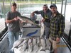 (08/16/2014) - Nice Striped Bass